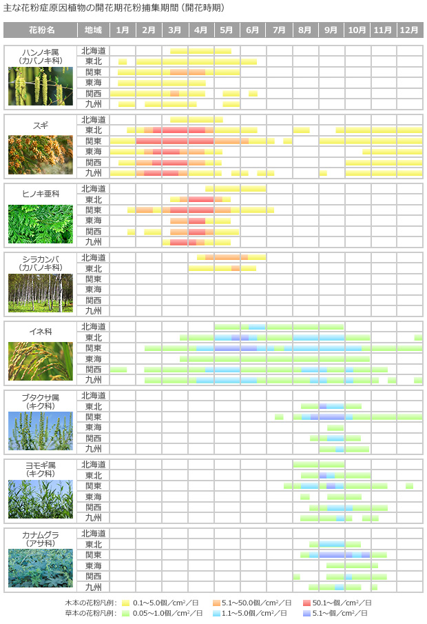 図：花粉カレンダー